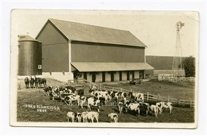 Image description is not available for PHO-264-709